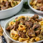 Slow Cooker Beef and Noodles